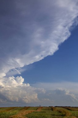 Bozkır Fırtınası Kanada 'yı Bulutlandırıyor