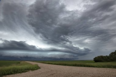 Bozkır Fırtınası Kanada 'yı Bulutlandırıyor