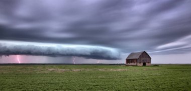 Bozkır Fırtınası Kanada 'yı Bulutlandırıyor