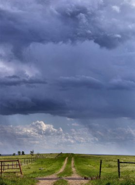 Bozkır Fırtınası Kanada 'yı Bulutlandırıyor