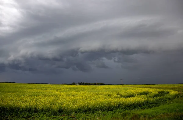 Prairie Storm Moln Kanada — Stockfoto