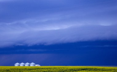 Bozkır Fırtınası Kanada 'yı Bulutlandırıyor