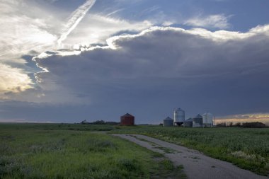 Bozkır Fırtınası Kanada 'yı Bulutlandırıyor