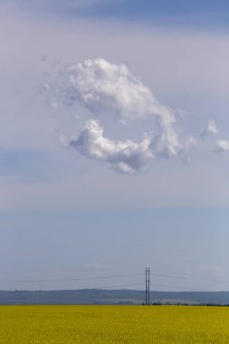 Bozkır Fırtınası Kanada 'yı Bulutlandırıyor