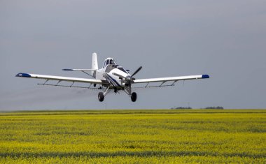 Bozkır Fırtınası Kanada 'yı Bulutlandırıyor