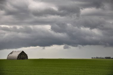Bozkır Fırtınası Kanada 'yı Bulutlandırıyor
