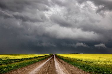 Bozkır Fırtınası Kanada 'yı Bulutlandırıyor