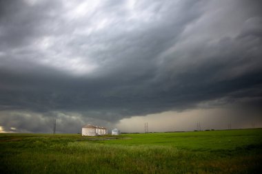 Bozkır Fırtınası Kanada 'yı Bulutlandırıyor