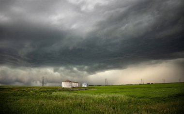Bozkır Fırtınası Kanada 'yı Bulutlandırıyor