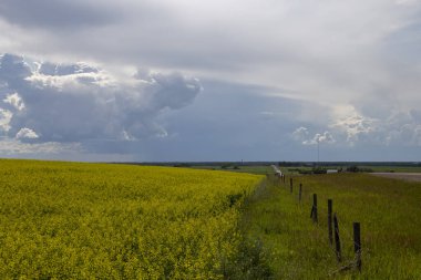 Bozkır Fırtınası Kanada 'yı Bulutlandırıyor