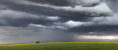 Bozkır Fırtınası Kanada 'yı Bulutlandırıyor