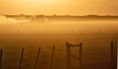 Günbatımı Kanada 'yı hasat et