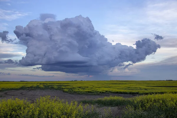 Prairie Storm Clouds Kanada — Stock fotografie