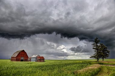 Prairie Storm Canada yaz kırsal ana yapı Saskatchewan