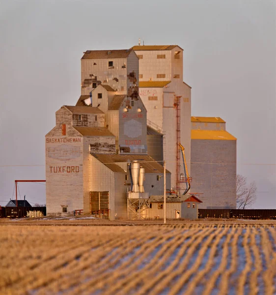 Prairie Grain Elevator Mezőgazdaság Saskatchewan Kanada Vidéki — Stock Fotó