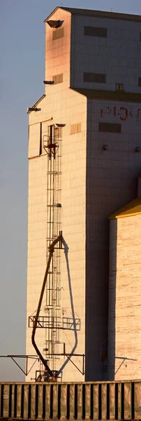 Prairie Grain Elevator Mezőgazdaság Saskatchewan Kanada Vidéki — Stock Fotó