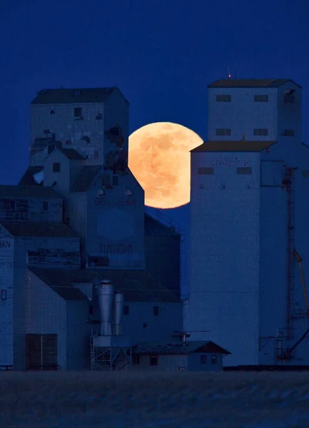 Pradaria Grão Elevador Agricultura Saskatchewan Canadá Noite Lua Cheia — Fotografia de Stock