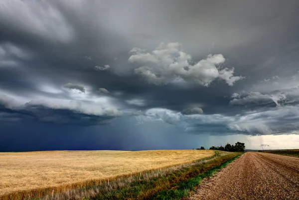 Prairie Storm Canada Verano Rural Gran Estructura Saskatchewan —  Fotos de Stock