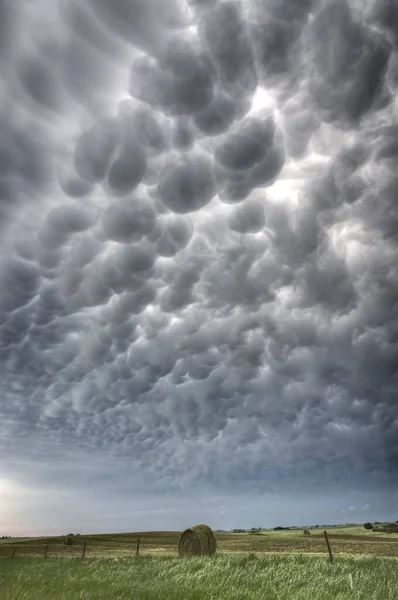 Prairie Storm Canada Zomer Platteland Groot Wolken Mammatus — Stockfoto