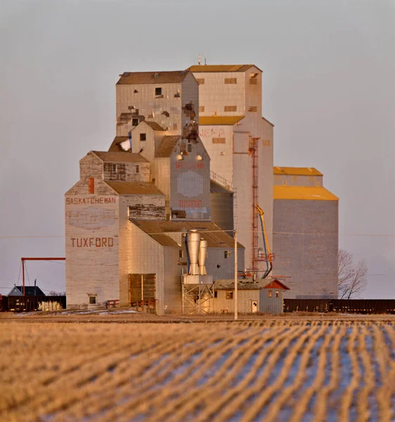 Prairie Grain Elevator Agriculture Saskatchewan Canada Rural Stock Image