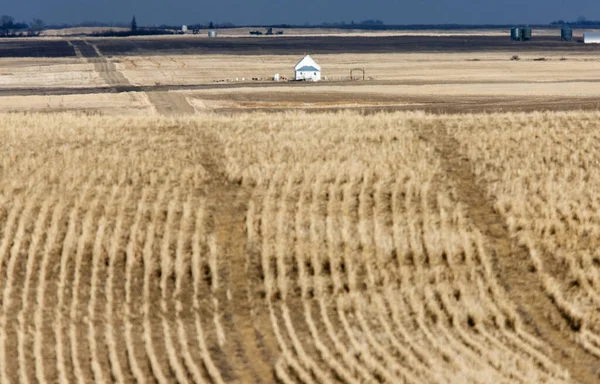 Tájkép Saskatchewan Préri Rurual Scene Ország Templom — Stock Fotó