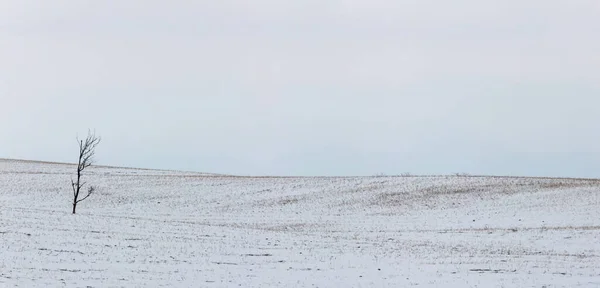 Paysage Saskatchewan Prairie Scène Rituelle Panorama Chutes Neige — Photo