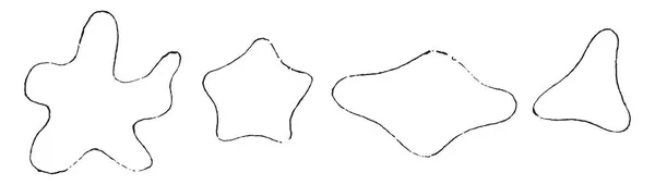 骨髄の木の様々 な形態は ヴィンテージ刻まれた図 — ストックベクタ