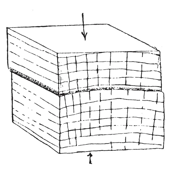 Compressão Radial Perpendicular Fibras Forma Quebra Vintage Gravada Ilustração — Vetor de Stock