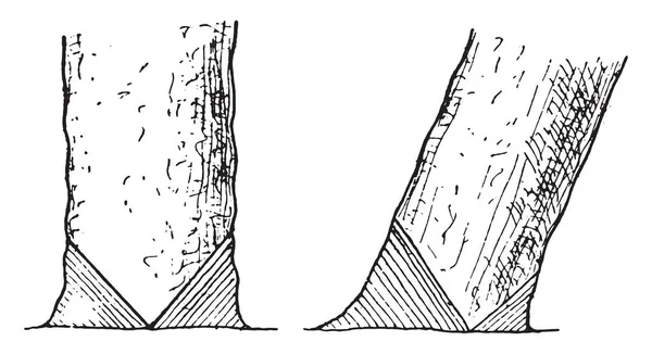 Fällung Der Axt Auf Dem Rechten Baum Auf Den Baumschrägen — Stockvektor