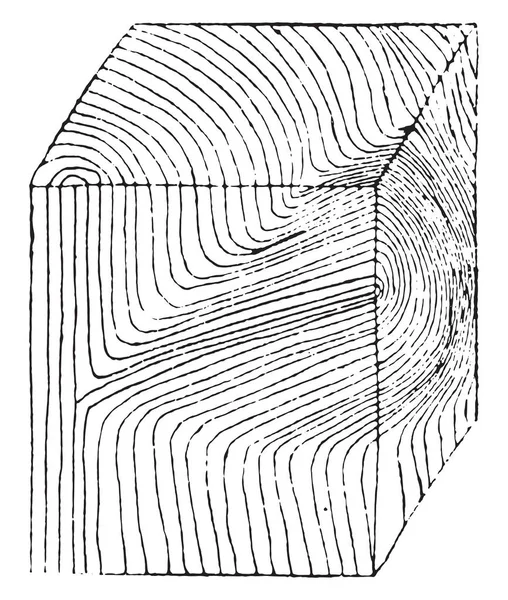 Carved Wooden Cube Branch Vintage Engraved Illustration — Stock Vector