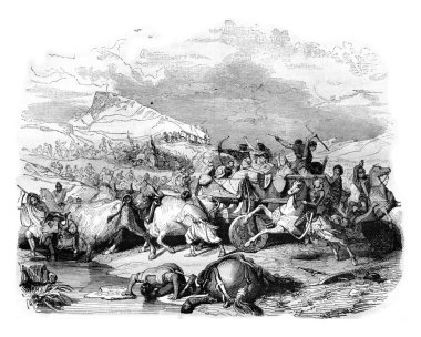 Cimbrian, yenilgi vintage oyma.