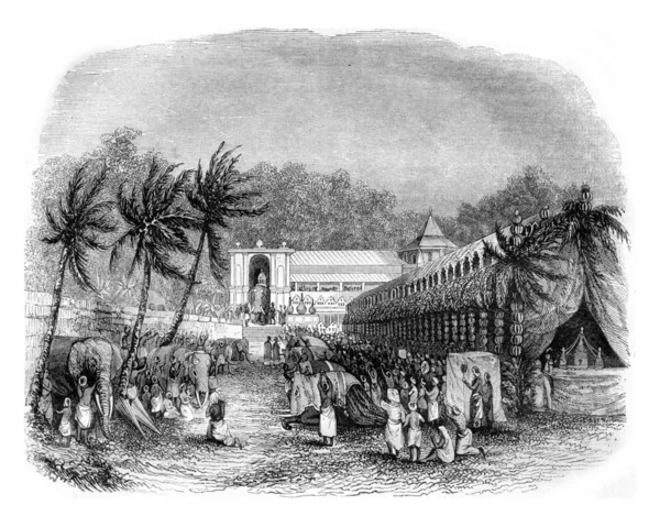 Шествие зуба Будды, на острове Цейлон, винта — стоковое фото