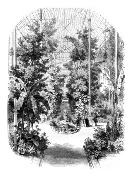 Stanowisku w szklarniach ogrodu botanicznego w Paryżu — Zdjęcie stockowe