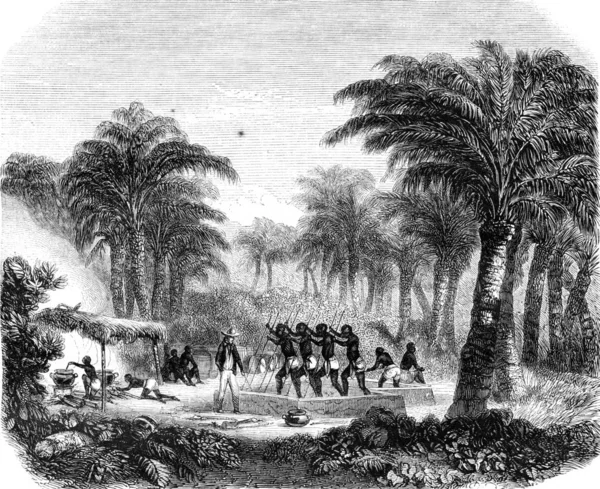 Produkce palmového oleje Whyda, Guinea, pobřeží otrok, vintage engrav — Stock fotografie