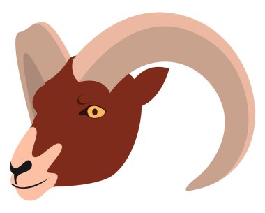 Koç, illüstrasyon, beyaz arkaplan üzerindeki vektör.