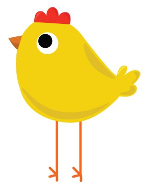 Yavru tavuk, illüstrasyon, beyaz arka plan vektörü.