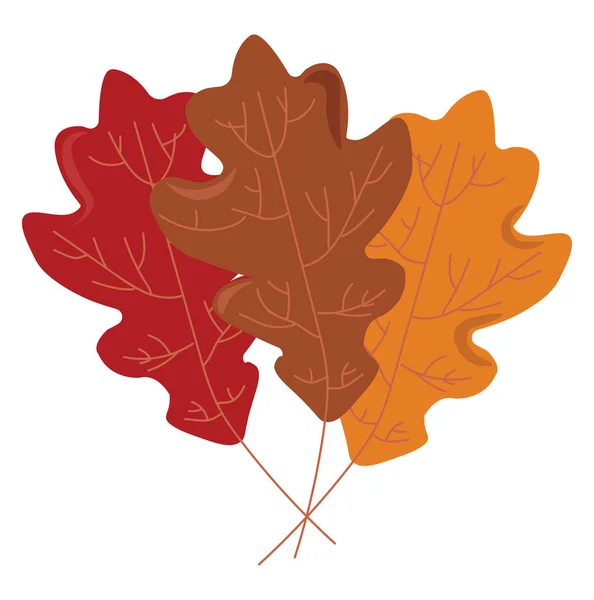 秋の葉、イラスト、白い背景のベクトル. — ストックベクタ