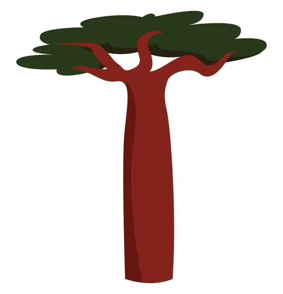 Baobab, ilustración, vector sobre fondo blanco . — Archivo Imágenes Vectoriales