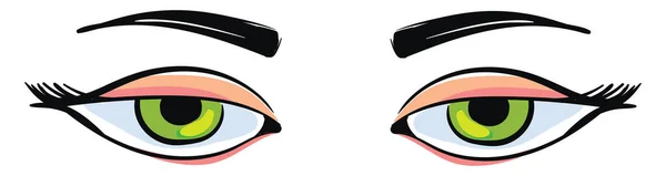 Groene ogen, illustratie, vector op witte achtergrond. — Stockvector