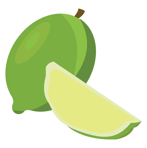 Groene citroen, illustratie, vector op witte achtergrond. — Stockvector