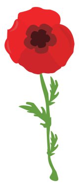 Kırmızı çiçek, illüstrasyon, beyaz arkaplanda vektör.