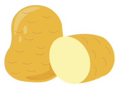 Patates, illüstrasyon, beyaz arka plan üzerinde vektör.