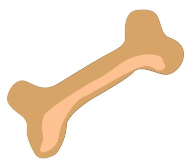 Kemik, illüstrasyon, beyaz arkaplan vektörü.