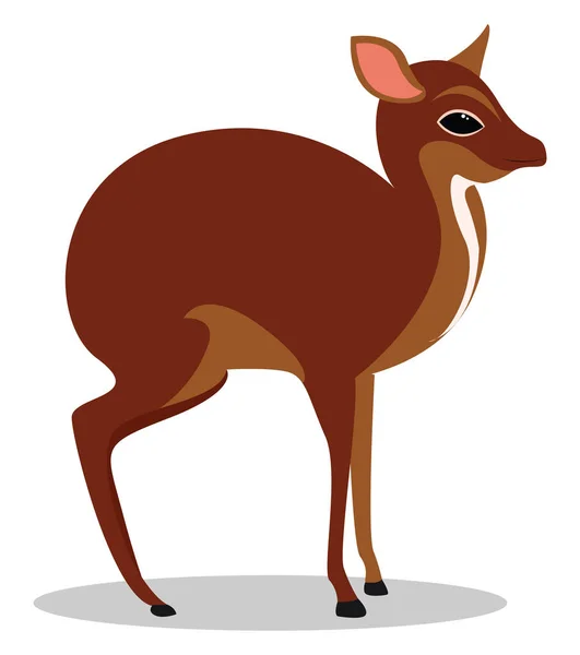 Mouse deer, illustration, vector on white background. — Stock Vector