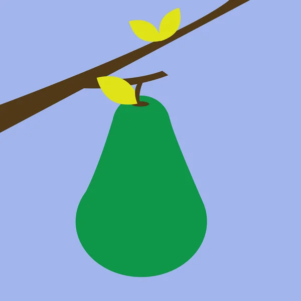 Groene peer, illustratie, vector op witte achtergrond. — Stockvector