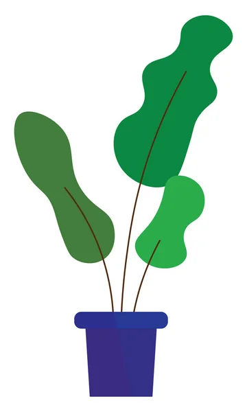 Zelená rostlina, ilustrace, vektor na bílém pozadí. — Stockový vektor