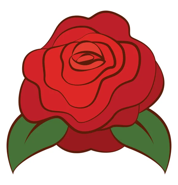 Rode roos, illustratie, vector op witte achtergrond. — Stockvector