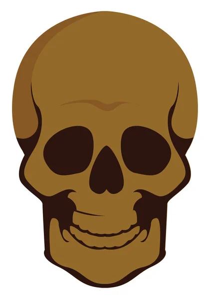 Skull head, illustration, vector on white background. — Stock Vector