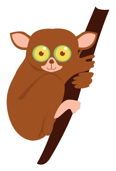 Tarsier, illustrazione, vettore su sfondo bianco . — Vettoriale Stock