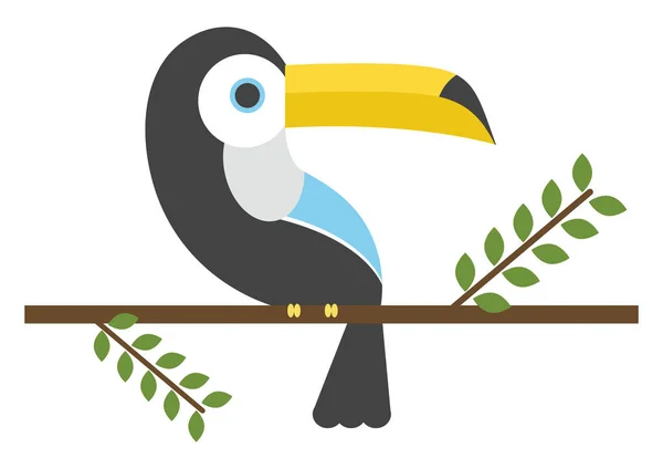 Pássaro tucano, ilustração, vetor sobre fundo branco . — Vetor de Stock